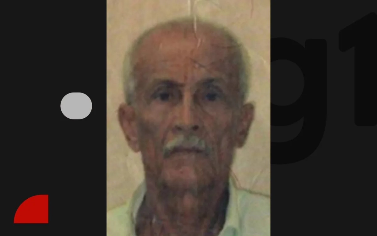 Idoso de 86 anos morre após ser atacado por abelhas na Bahia