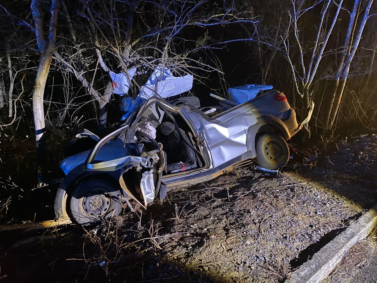 Motorista morre após caminhonete bater em árvore na MGC-401