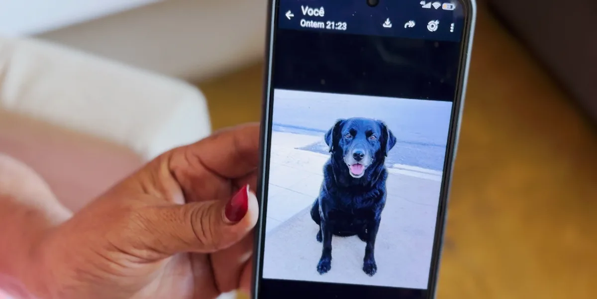 Polícia apreende celulares de suspeitos para apurar morte de mais de 200 animais, no Sertão da PB