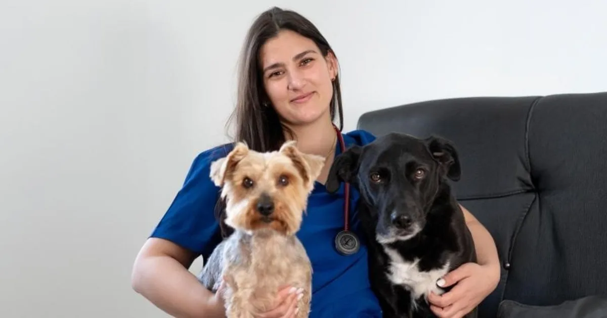 Alessia Saguato, veterinaria experta en medicina integrativa: “Vemos normal gastar en un móvil de última generación, pero no pagar un tratamiento veterinario para nuestro perro”