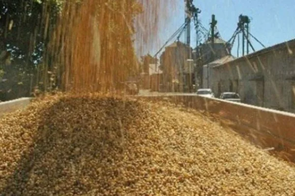 Gobierno nacional exhorta a comprar arroz criollo