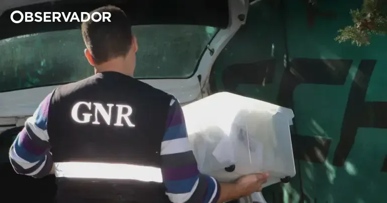 Detido na Maia por tráfico de droga e ameaças