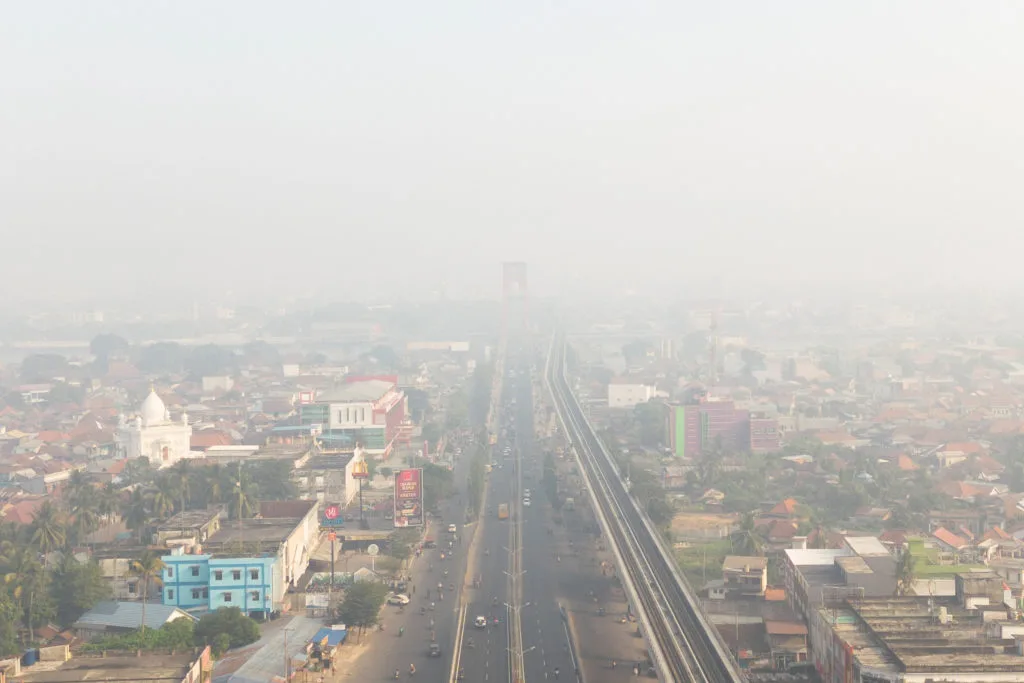 Indonesian police arrest 72 people suspected of starting forest fires