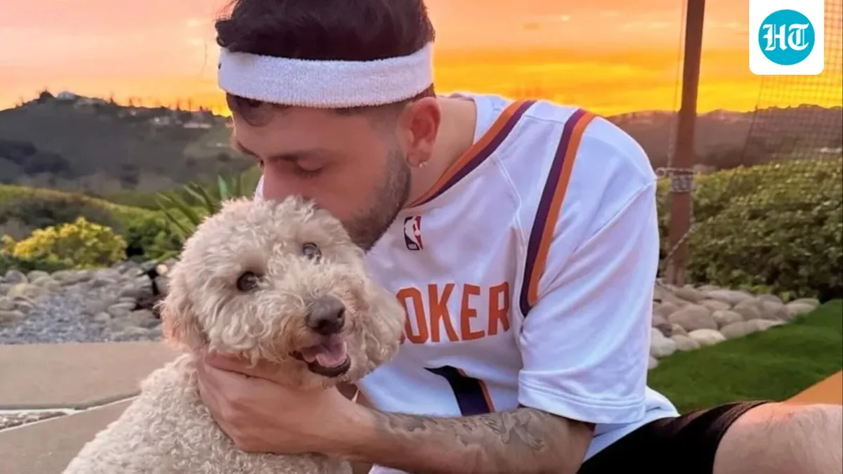 Fact Check: Was FaZe Rug killed in a car crash? Truth behind viral Brawadis video