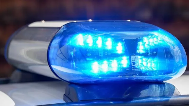 Unfall: Maulwurf und Marder werden Motorradfahrer zum Verhängnis
