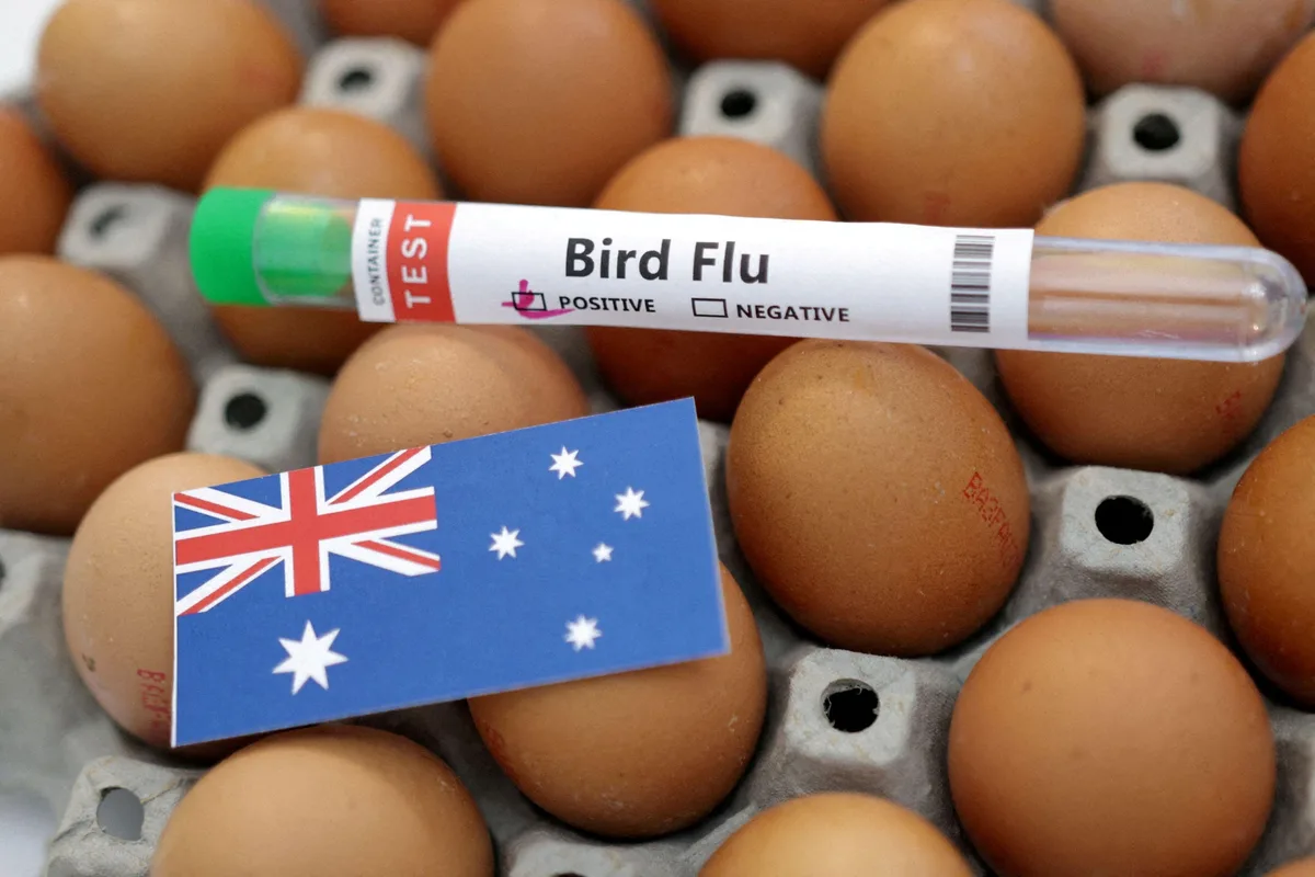 Australia confirms first H5N1 bird flu case in mammal as outbreak spreads