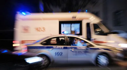 В Свердловской области водитель погиб при столкновении автомобиля с коровой