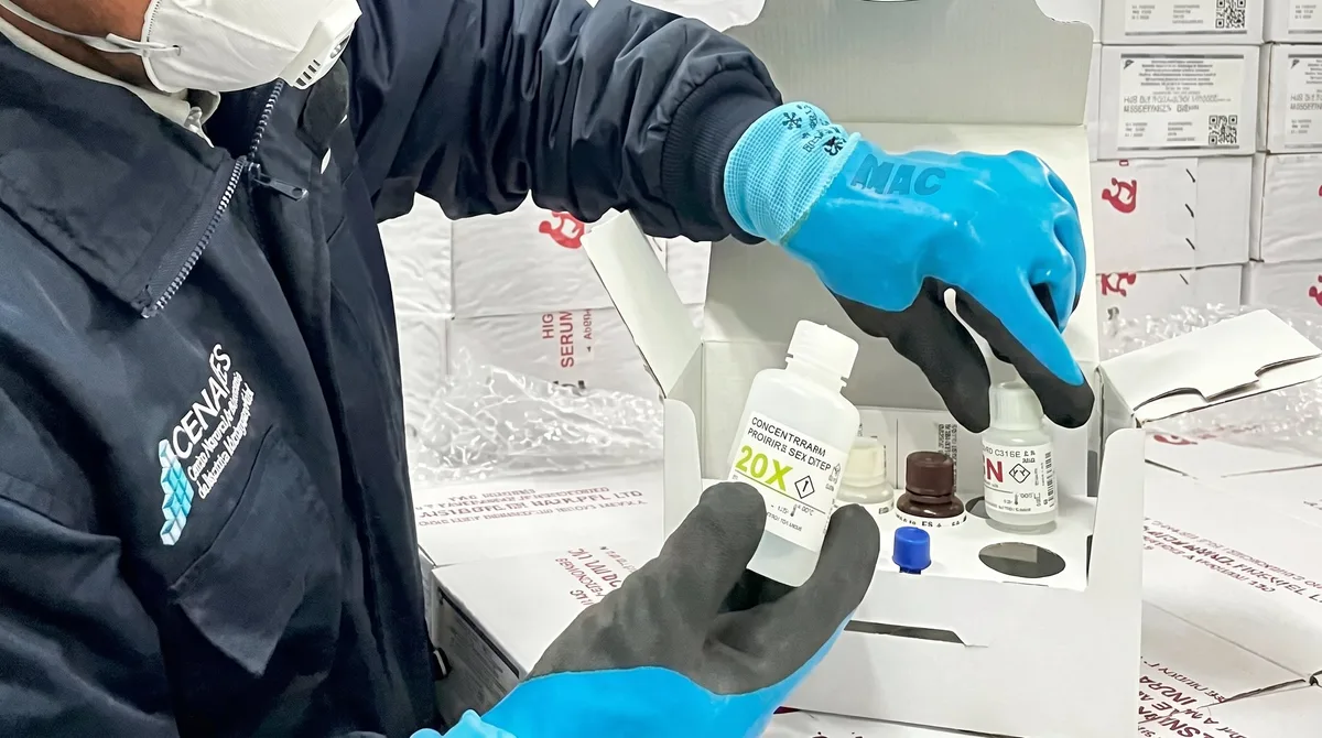 Minsa adquiere 1000 kits para detectar leptospirosis ante lluvias intensas y fenómeno El Niño