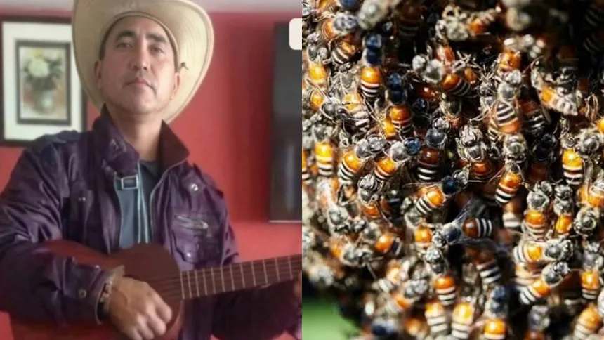 Tragedia en Guárico: El espeluznante y masivo ataque de abejas que provocó la muerte a un hombre, su organismo colapsó