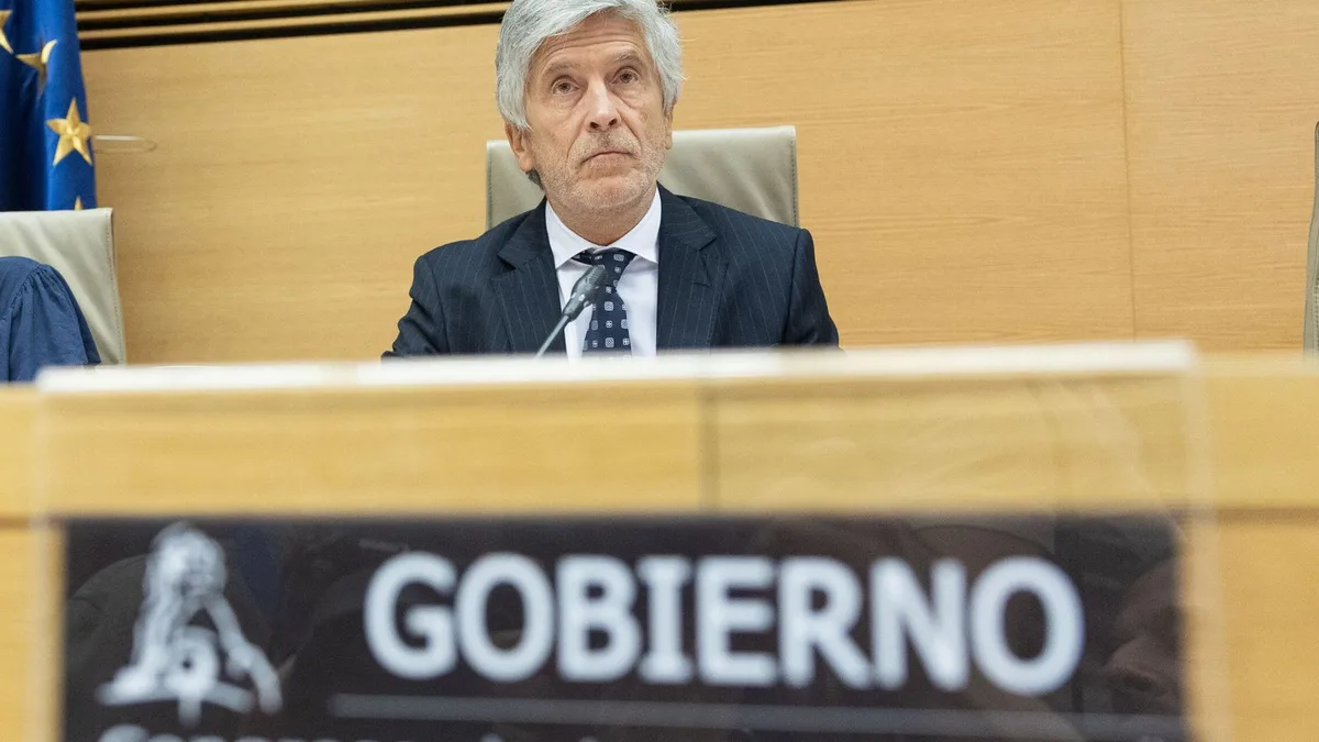 Marlaska: "Llamo a la calma y al cese de cualquier tipo de violencia"