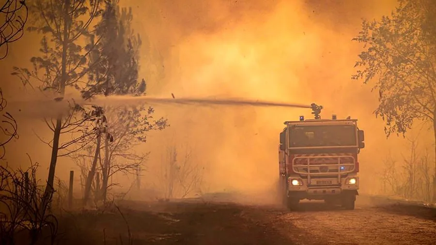 Erderhitzung und Flächenbrände: Klimawandel könnte Waldbrandfläche in Europa verdreifachen