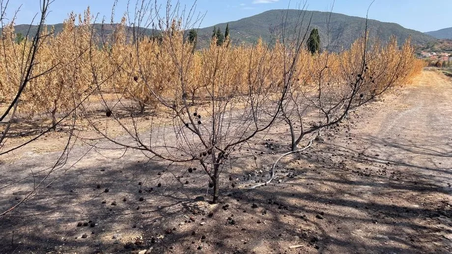 Incendie de Trévillach : "Pour les sinistrés, le feu ne dure pas une journée, il dure plusieurs mois"