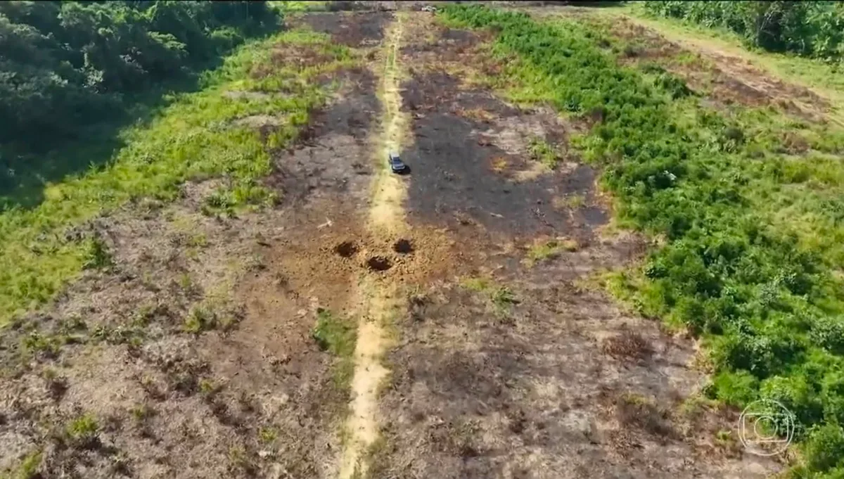 PF destrói pista de pouso clandestina usada por quadrilha para transportar drogas em meio à floresta no Amazonas