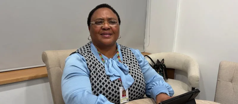 ‘Not much to offer’: Didiza asks TRC commission to scrap her appearance
