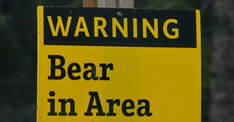 Homem morre em ataque de urso no Novo México