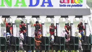 Datos de última hora para el Hipódromo Internacional La Rinconada 20-9-2026