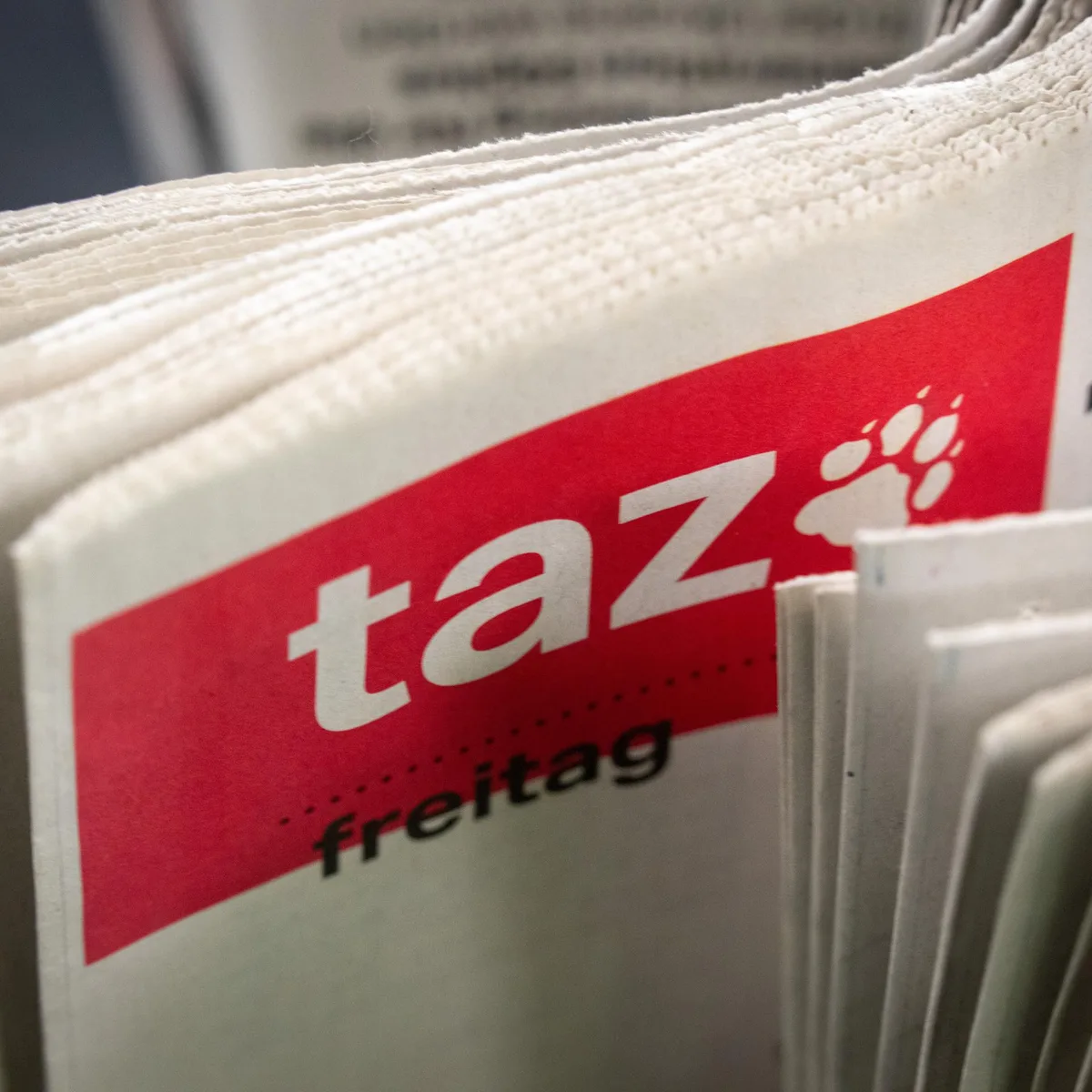 Wegen "Boykott" - Israel verweigert TAZ-Journalistin Arbeitserlaubnis als Korrespondentin