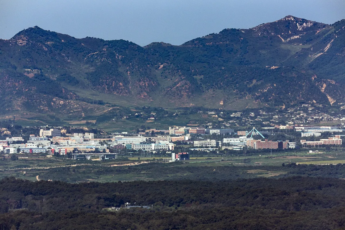 육군 25사단 DMZ 수색작전 중 군 간부 3명 부상…지뢰 폭발 사고 가능성