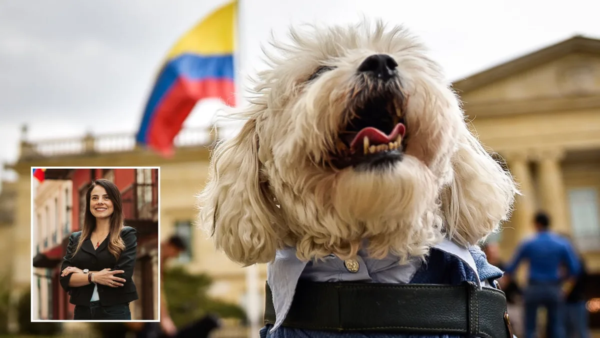 Esta es la ley que castiga el abuso sexual de animales por la cual la senadora animalista Andrea Padilla le agradeció a Abelardo de la Espriella