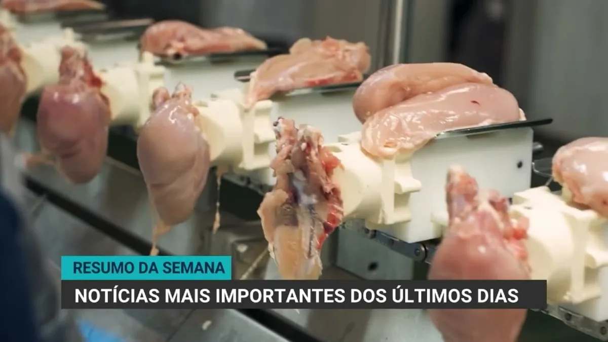 Crédito rural no Brasil cai 26% em 12 meses, com queda acentuada no Rio Grande do Sul