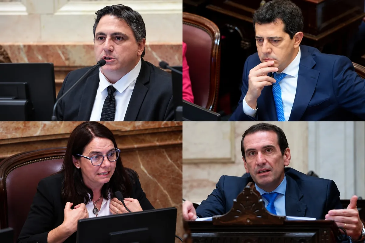 El millonario patrimonio de los senadores: los que más tienen y los que más crecieron