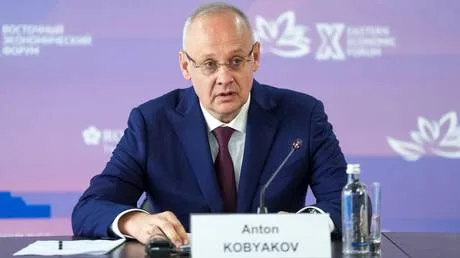Russia rejects ‘screwdriver assembly’ model for foreign business – Putin aide