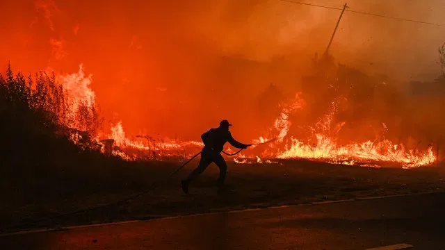 Incêndios em Portugal: El Niño, "pressão" e "ingredientes para desastre"