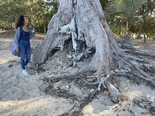 « La plage a reculé de 50 mètres » : à La Réunion, face à l’érosion, les plages cherchent à reprendre racine
