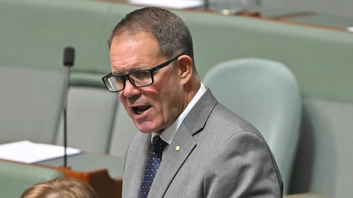 'Stronger test' for Albanese as Labor MP charged again