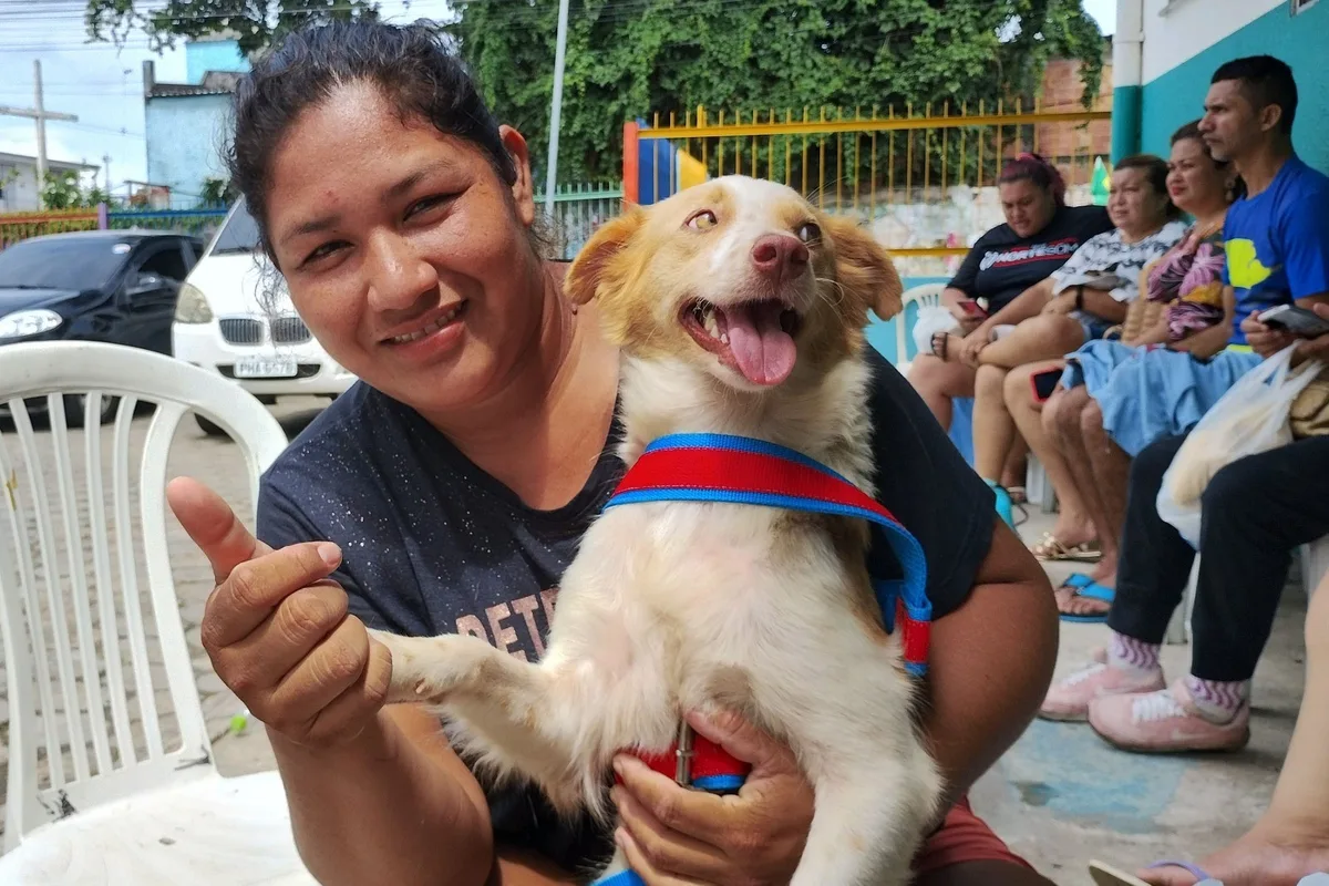 Prefeitura de Manaus abre agendamento on-line para castração de cães e gatos; veja como fazer