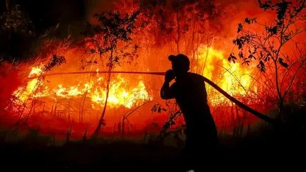 En Indonésie, près de deux millions d'hectares de forêts ont brûlé depuis le début de l'année