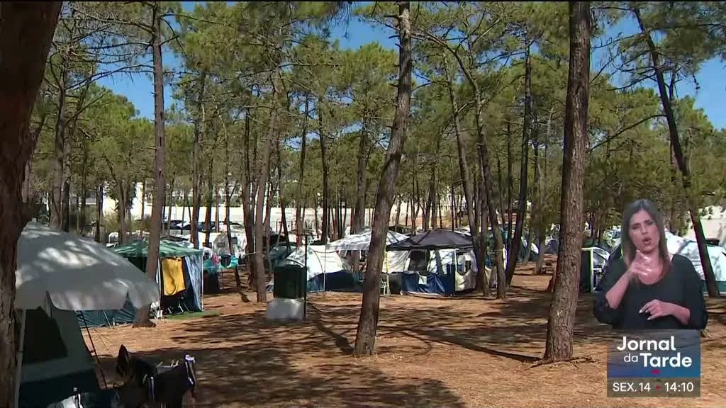 "O meu lugar de verão". Parque de campismo de Monte Gordo atrai milhares