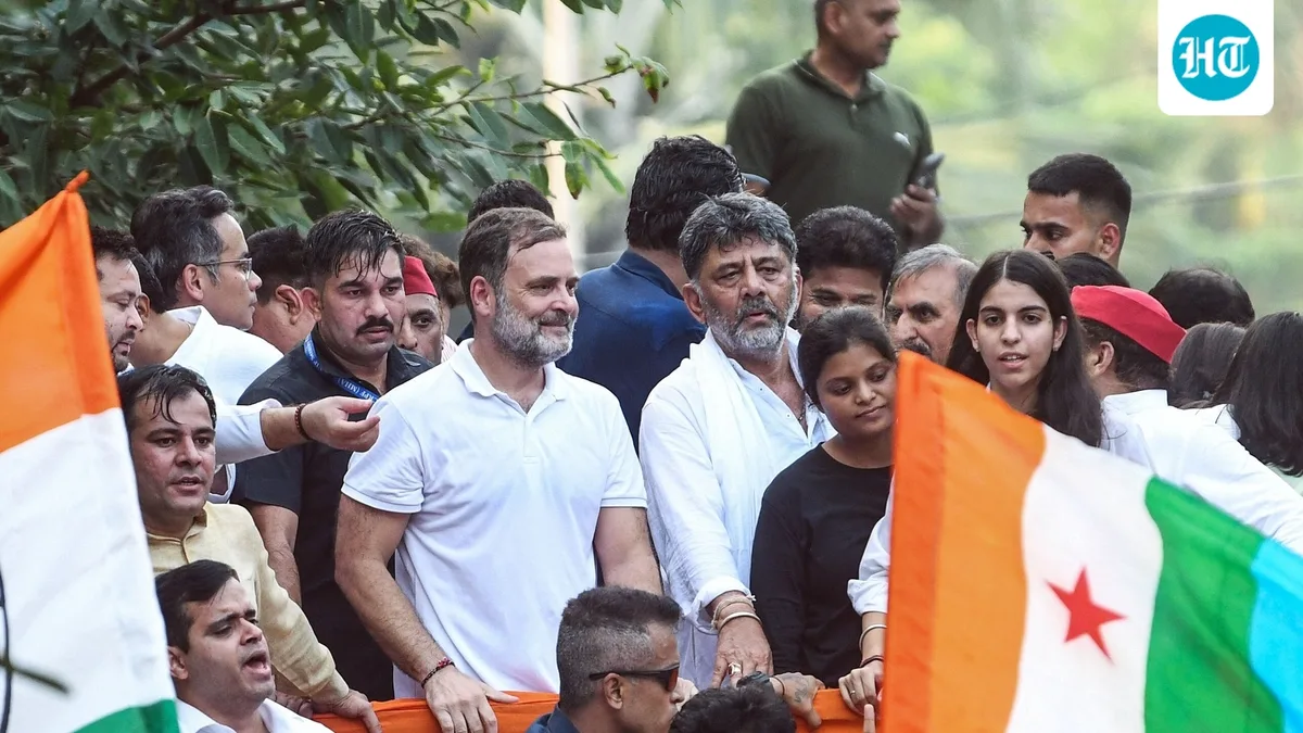 'Rahul Gandhi didn't push me': DK Shivakumar after BJP shares clip from INDIA bloc march to Supreme Court