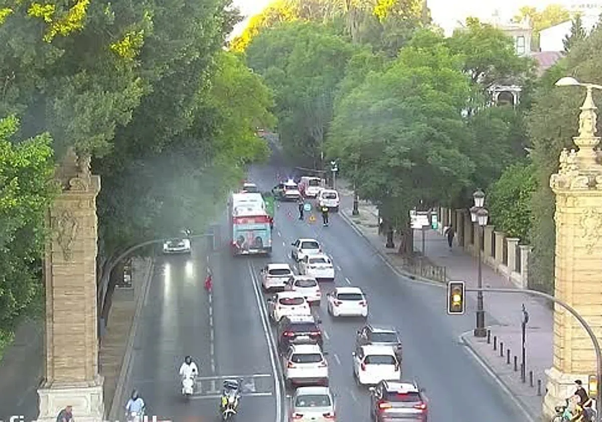 Cae un árbol a la altura del Lope de Vega y corta dos carriles de la avenida María Luisa