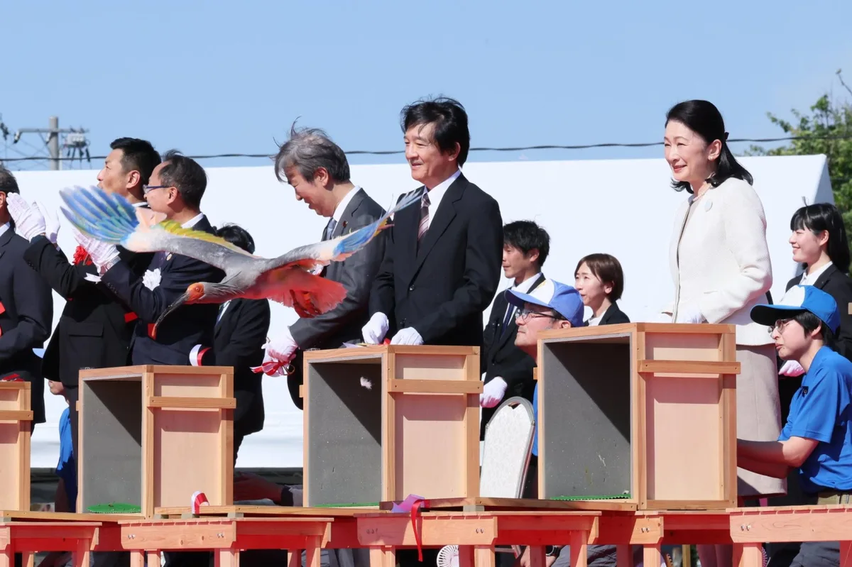 Crested ibis release in Noto marks milestone for the species on Honshu