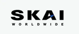 SKAI, LG유플러스 실시간 네트워크 분석 DB 고도화 수주