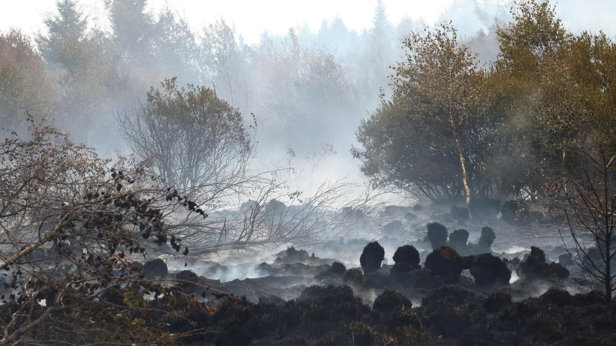 Firefighters push to ‘encircle’ Belgian wildfire