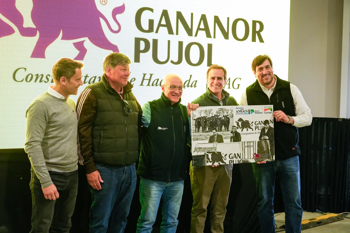 Semana Angus: precios de hasta $8500 en importantes remates ganaderos
