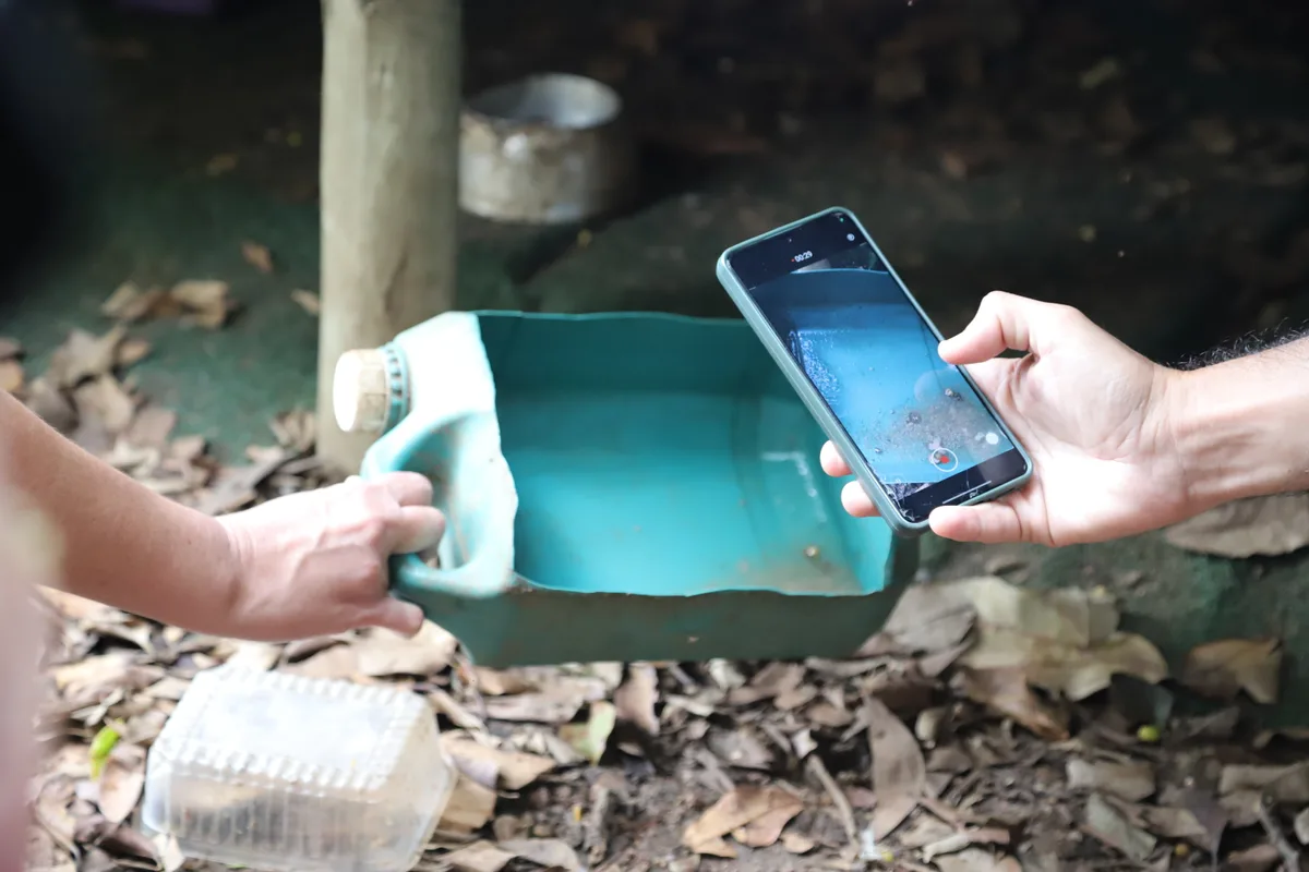 MPES aponta falhas no cuidado com animais na Pedra da Cebola