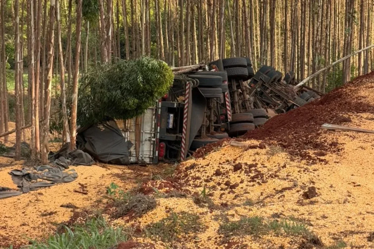 Caminhoneiro morre após carreta carregada de milho tombar em rodovia de MS
