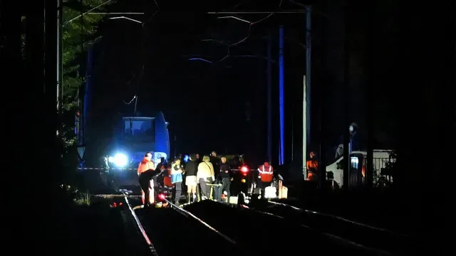 "Solavancos e pedras a voar". O que se sabe de descarrilamento em França