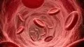Balones recubiertos de fármacos: la alternativa al stent que estudia la ciencia