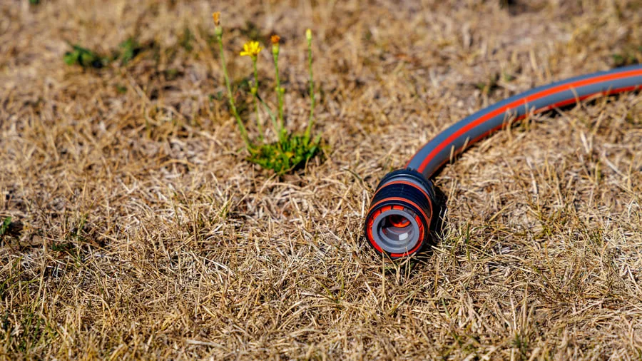 Zisterne im Garten: Wann sich Regenwasser sammeln lohnt