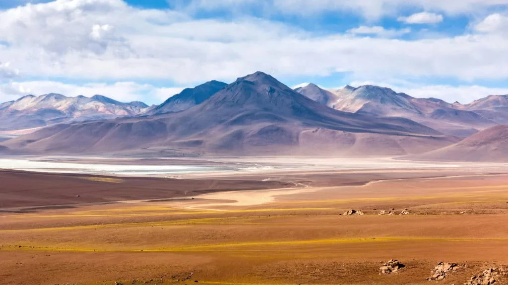 Uma capivara no meio do deserto? Fóssil sugere que o Atacama já foi quente, úmido e cheio de água