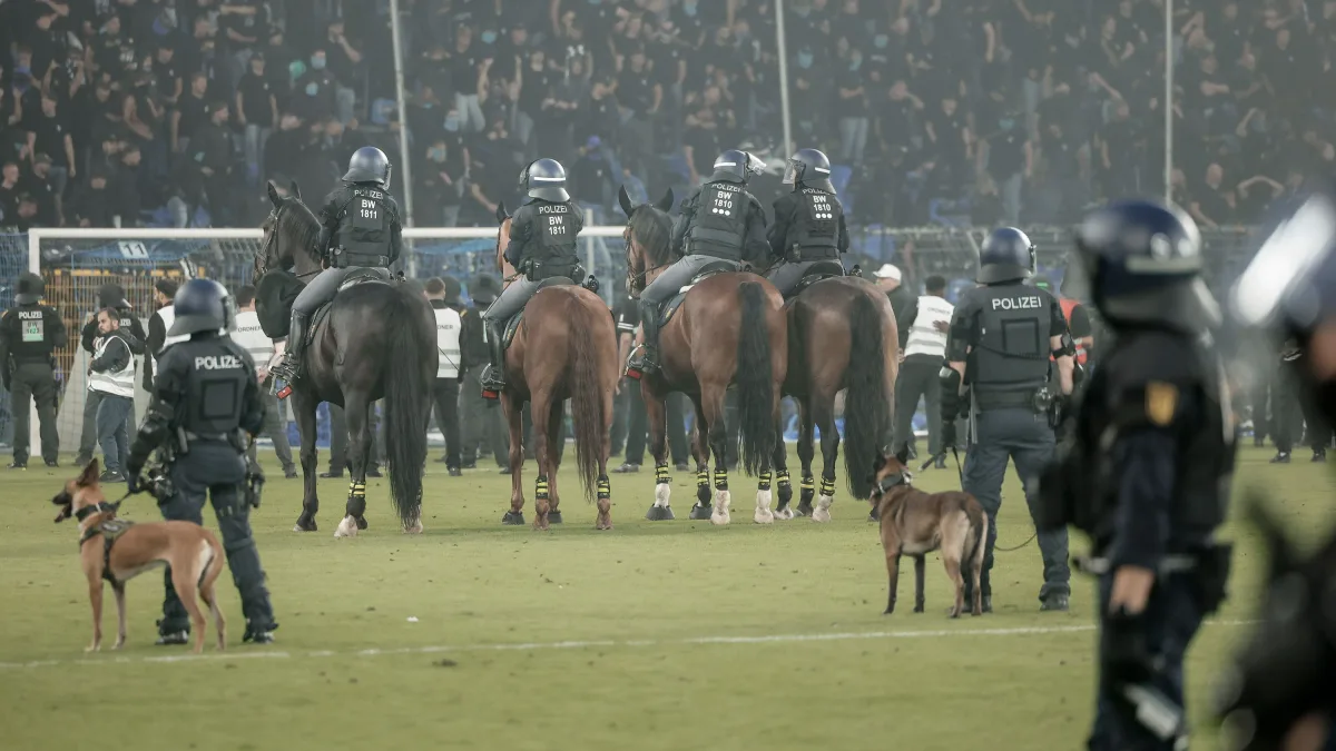 Pokalspiel in Mannheim: PETA erstattet Anzeige nach Polizeipferde-Einsatz bei Krawall-Derby