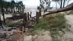 Tsunami no Brasil? Fenômeno é confirmado em SC após mar avançar sobre casas