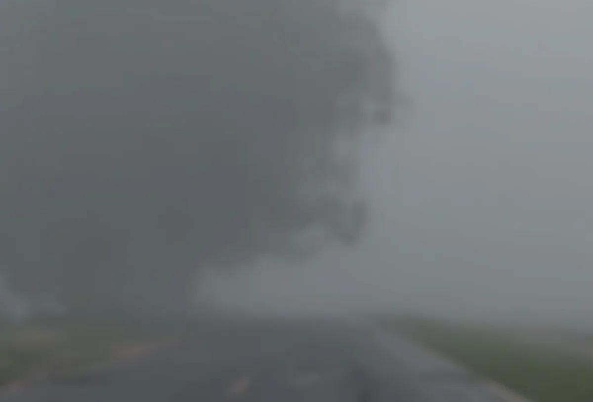 Neblina forte e chuva deixam rodovias de MS com baixa visibilidade