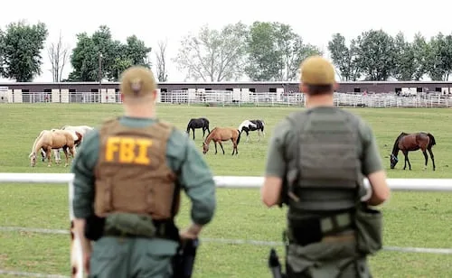 De "Los Zetas" al "Cártel del Noreste", el gusto del narco por los equinos; en 2012 EU confiscó hasta 400 caballos de carreras
