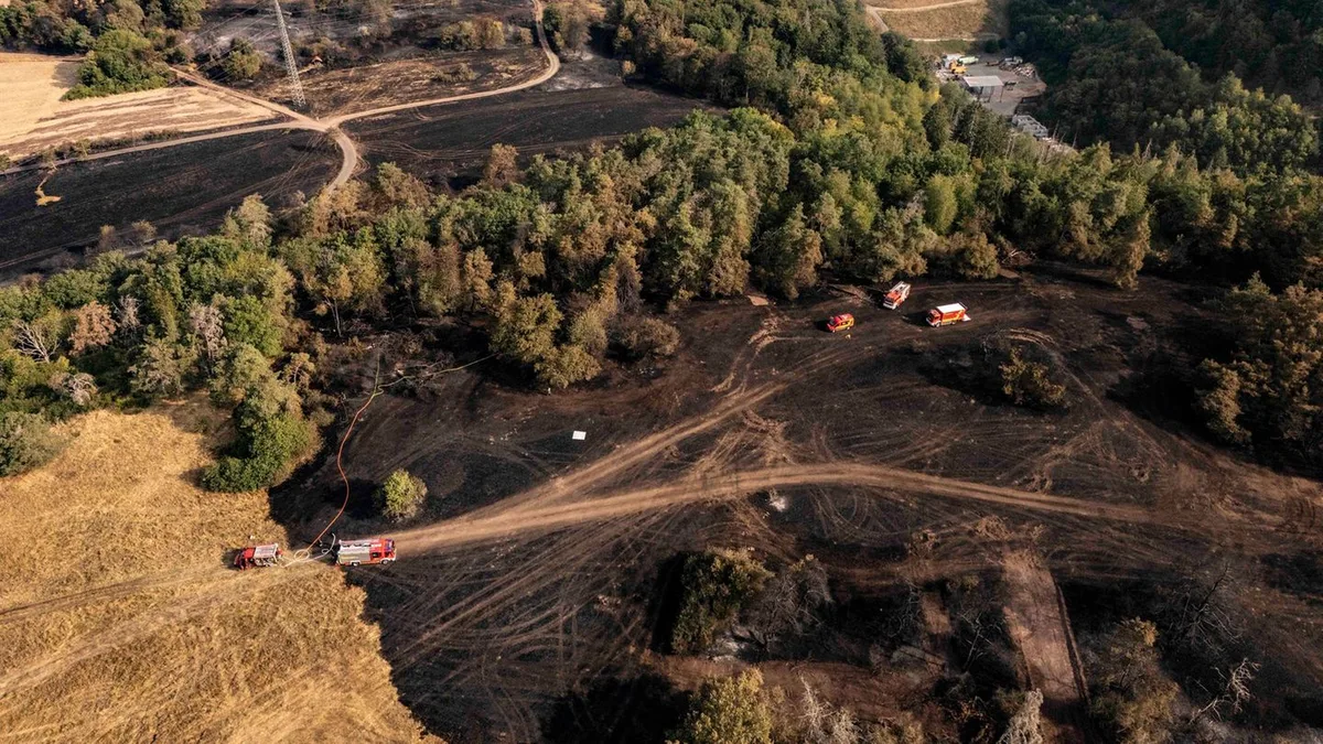 Rund 21 Hektar zerstört: Ermittlungen zu Waldbrand bei Reichenbach dauern an