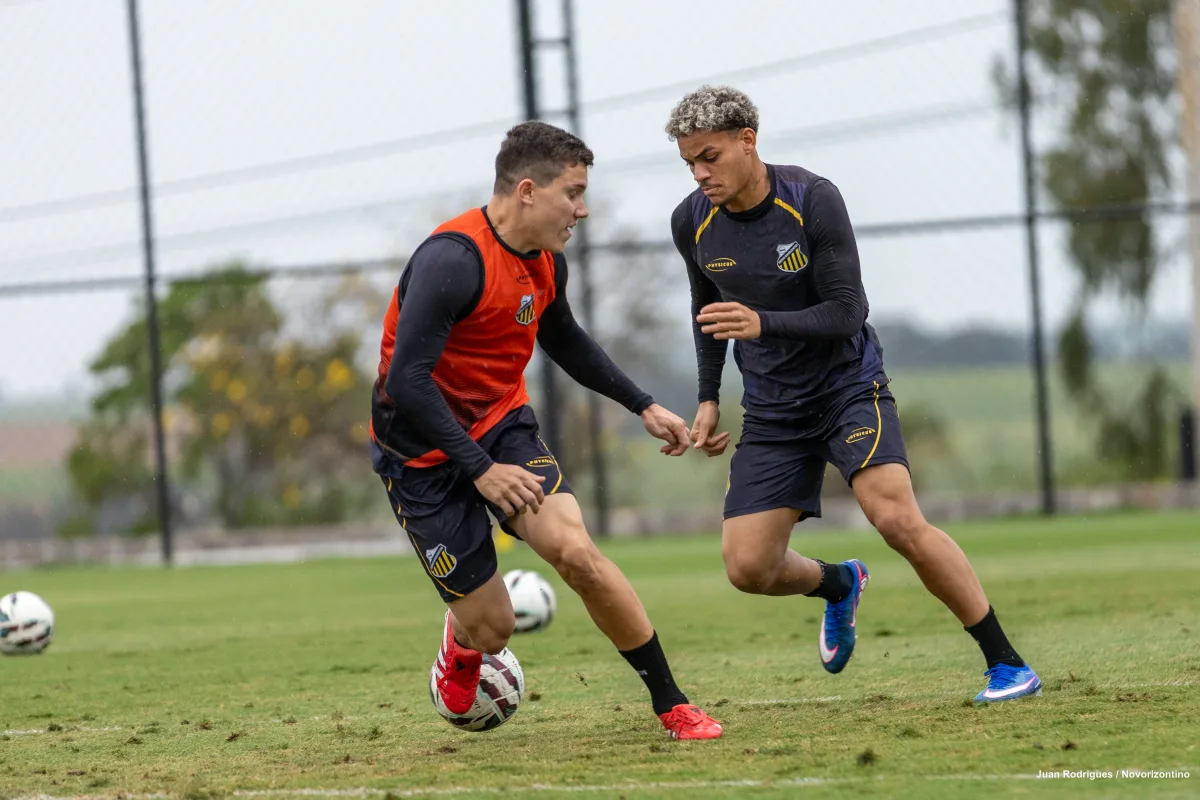 Novorizontino x Sport pela Série B: onde assistir, horário e prováveis escalações